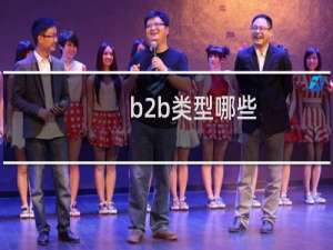 b2b类型哪些