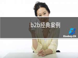 b2b经典案例