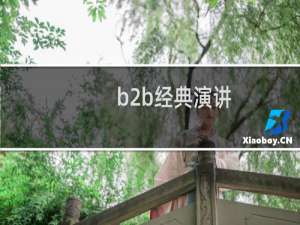 b2b经典演讲