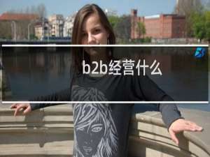 b2b经营什么
