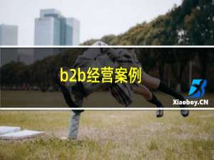 b2b经营案例