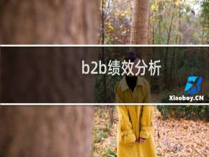b2b绩效分析