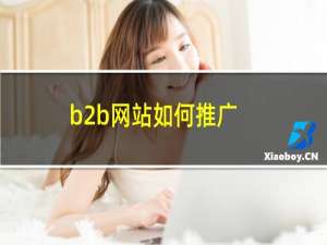 b2b网站如何推广