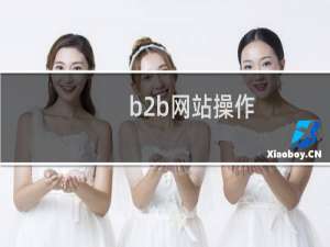 b2b网站操作