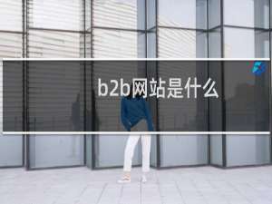 b2b网站是什么