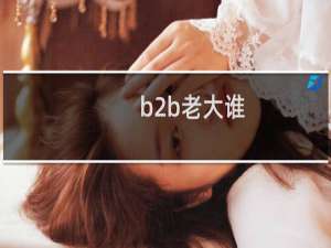 b2b老大谁