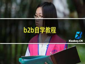 b2b自学教程