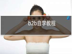b2b自学教程