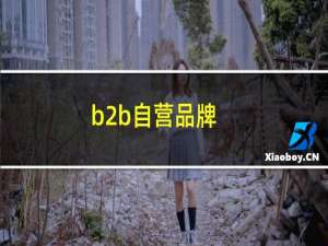 b2b自营品牌