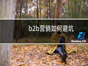 b2b营销如何避坑