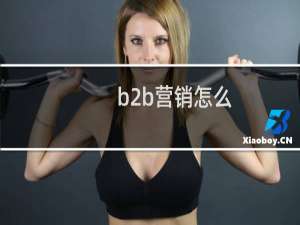 b2b营销怎么
