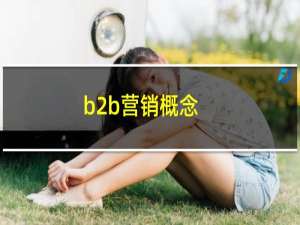 b2b营销概念