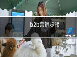 b2b营销步骤