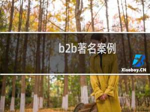 b2b著名案例