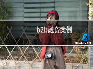 b2b融资案例