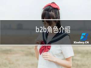 b2b角色介绍