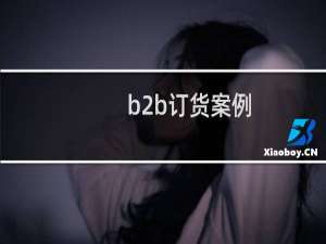 b2b订货案例
