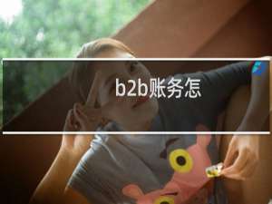 b2b账务怎