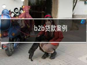 b2b贷款案例