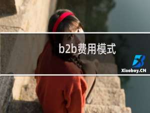 b2b费用模式