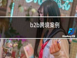 b2b跨境案例