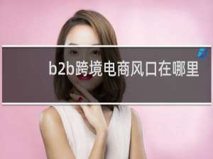 b2b跨境电商风口在哪里