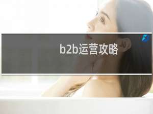 b2b运营攻略