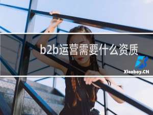 b2b运营需要什么资质