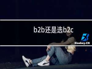 b2b还是选b2c