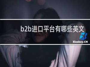 b2b进口平台有哪些英文