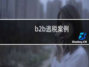 b2b逃税案例