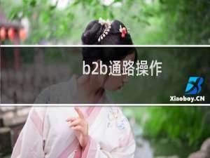 b2b通路操作