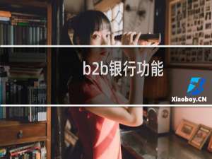b2b银行功能