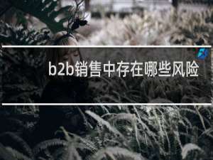 b2b销售中存在哪些风险