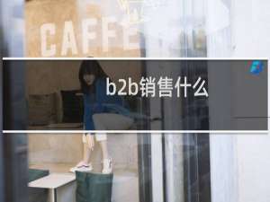 b2b销售什么