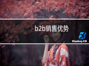 b2b销售优势