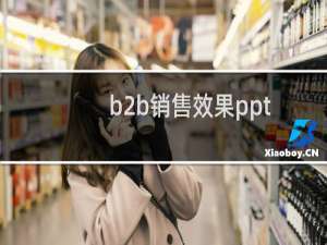 b2b销售效果ppt