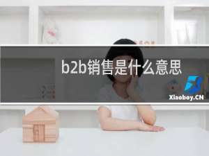 b2b销售是什么意思
