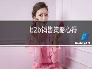 b2b销售策略心得