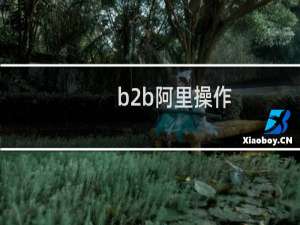 b2b阿里操作