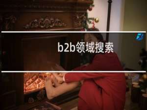 b2b领域搜索