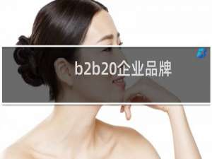 b2b 企业品牌