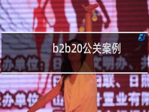 b2b 公关案例