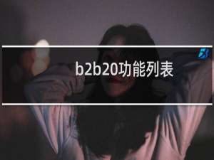 b2b 功能列表