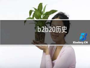b2b 历史