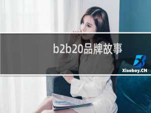 b2b 品牌故事