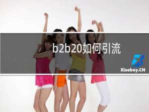 b2b 如何引流