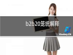 b2b 笼统解释