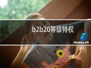 b2b 等级特权
