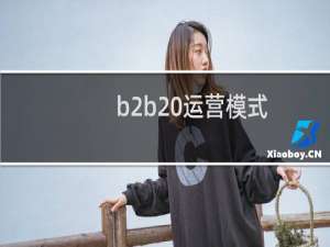 b2b 运营模式